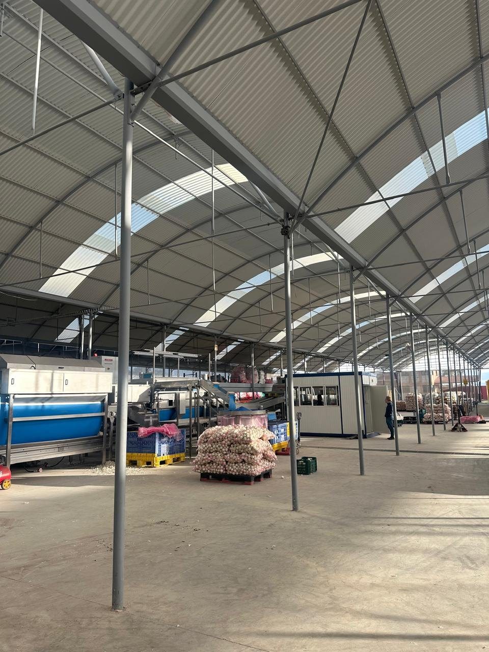 Interior del empaque de cebolla en Querétaro